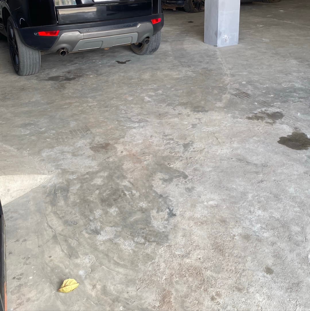 garage les guépards, photo 1